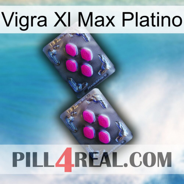 Vigra Xl Max Platinum 01.jpg